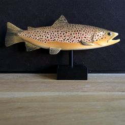 Fly Fishing best 3D printing files・30 models to download・Cults