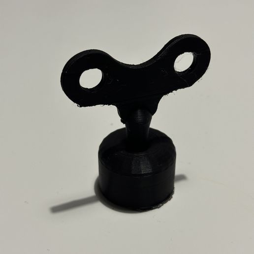 IMG_3029.jpeg Thermomix Key