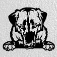 Sin-título.jpg anatolian shepherd dog wall decoration wall decoration dog deco wall house pet Pet realistic