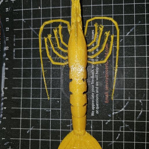 White Shrimp Lure ver.4