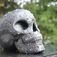 IMG_4823.JPG Skull with diamonds