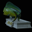 mahi-mahi-mouth-statue-15.png fish mahi mahi / common dolphin fish open mouth statue detailed texture for 3d printing