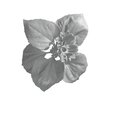 Flower4.png Free STL file Sunflwer - Flower・Template to download and 3D print