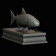 golden-dorado-statue-box-1-31.png fish golden dorado / Salminus brasiliensis with storage space / for 3d printing