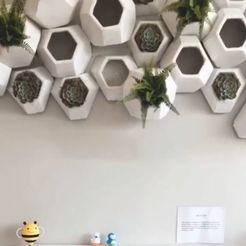 living-room.jpg BRIGHTEN UP LIFE LIVING with 3 different Indoor Wall Planter Honeycomb Design bonus 3 Planter Pots with Drainage Hole