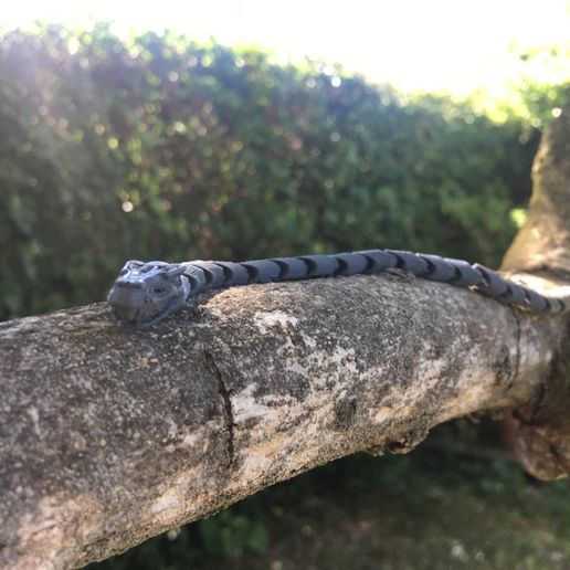 4.jpeg flexible snake