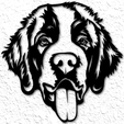 project_20230216_1605206-01.png Saint Bernard Dog Wall Art Big Dog Breed Wall Decor