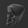 CraneoBoina4.jpg Skull Skull Skull Cranium Beret - Military - Matte/Potted