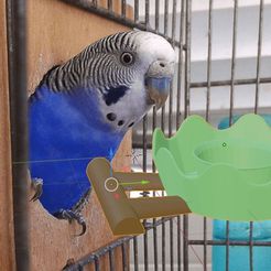 comedero-de-periquito.jpg STL file parakeet feeder・3D print design to download