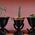 IMG_20200210_150223[1].jpg STL file 3 POTS CACTUS HEAD MARTIN・3D printing idea to download