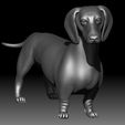 1.jpg Dutch hound Dachshund 3D printable model