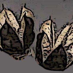 GCSeedPod01.jpg Galactic Crusaders Seed Pod