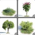 xR-LVvaY.jpeg Mini Plant Flowers Home And Garden 3D Model 53-56