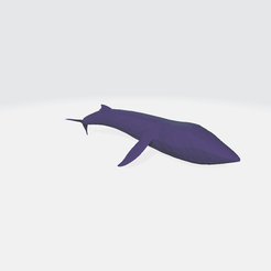 Whale1.png Figure of whale