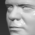 19.jpg Dwight Schrute bust 3D printing ready stl obj formats