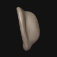 5.jpg Human ear