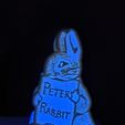 20221227_205743.jpg Night Light Collection. Peter Rabbit NightLight, Easy Print