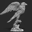falcon3.jpg Falcon model