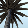 7.png Set of 3 tropical palm and coconut trees (3) - Pirate Jungle Island Beach Piracy Caribbean Medieval