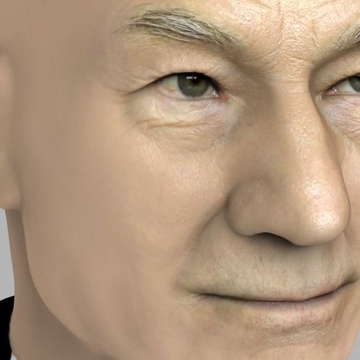 professor-x-charles-xavier-bust-ready-for-full-color-3d-printing-3d-model-obj-mtl-fbx-stl-wrl-wrz-1.jpg Professor X Charles Xavier from X-Men bust full color 3D printing