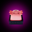 vlcsnap-2025-03-19-20h27m11s366.png Capuchon de touche Axolotl