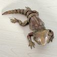 Bearded Dragon Articulated Toy, Print-In-Place Body, Snap-Fit Head, Cute Flexi