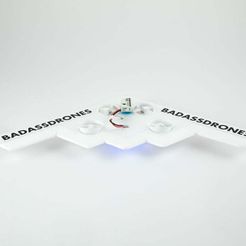Badassdrones_Tinywing_B2_back_pers.jpg Fichier 3D gratuit PETITE AILE - B2 SPIRIT・Objet imprimable en 3D à télécharger