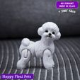 1.jpg Toy Poodle - Bichon Frise the articulated realistic dog toy