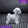 1.jpg Caniche Toy - Bichon Frise el juguete articulado realista para perro (#38)