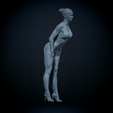 Untitled_Viewport_003.png Woman Female body anatomy Female body anatomy 2