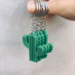 Cactus.jpg Cactus Key Ring
