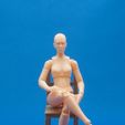 DSC_0015.jpg Articulated Poseable Female Figure