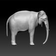 ele2-2.jpg Elephant- toy for kids
