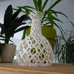 P1170057-753x565.jpg Free STL file voronoi vase・3D printer model to download