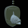 zander-head-trophy-23.png fish head trophy zander / pikeperch / Sander lucioperca open mouth statue detailed texture for 3d printing