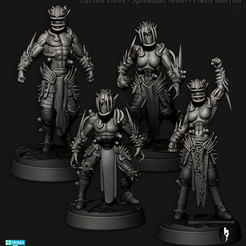 CursedElves_SpikeBallTeam_FleshWarriors.png 3D file Cursed Elves - Spikeball Team - Flesh Warriors・3D printing template to download