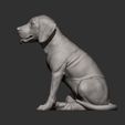 Fila-Brasileiro-puppy11.jpg Fila Brasileiro puppy 3D print model