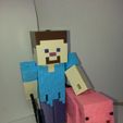 20200314_090154.jpg Minecraft Pig