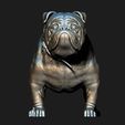 08.jpg Bulldog model 3D print model