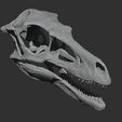 Velociraptor_Skull_003.jpg Velociraptor Dinosaur Skull Replica