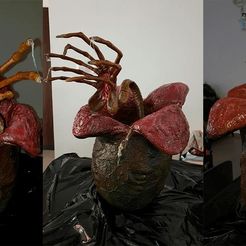 image1.jpeg Archivo 3D Huevo y Facehugger alienígena impresos en 3D con todo detalle・Diseño para descargar y imprimir en 3D