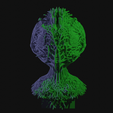 vid0017.png Alien Insectoid Bust