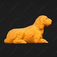 1078-Basset_Griffon_Vendeen_Petit_Pose_09.jpg Basset Griffon Vendeen Petit Dog 3D Print Model Pose 09