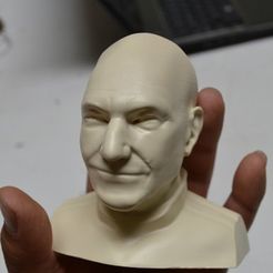 Patrick Stewart_02.jpg STL file Patrick Stewart Bust・3D print design to download