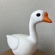 IMG_6977.jpeg 8inch Porch Goose, Desk Goose, Companion Buddy, Outdoor & Indoor statue, Yard Art, Cute and Funny Goose Gift - COMMERCIAL LICENSE!!