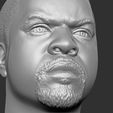 22.jpg Ice Cube bust 3D printing ready stl obj formats