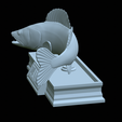 zander-statue-4-mouth-open-40.png fish zander / pikeperch / Sander lucioperca open mouth statue detailed texture for 3d printing