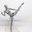 018.jpg Lady Figure the 3D printed female action figure