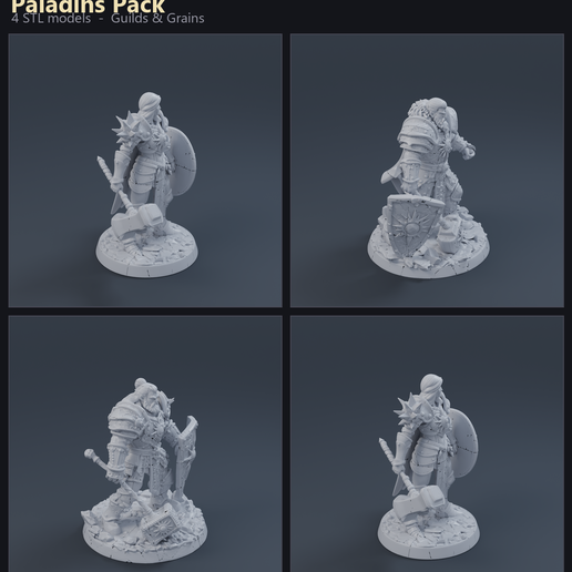 Paladins Pack 3D printable STL miniature