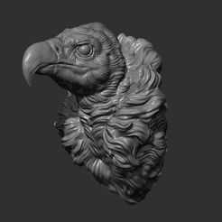 5.jpg Vulture head